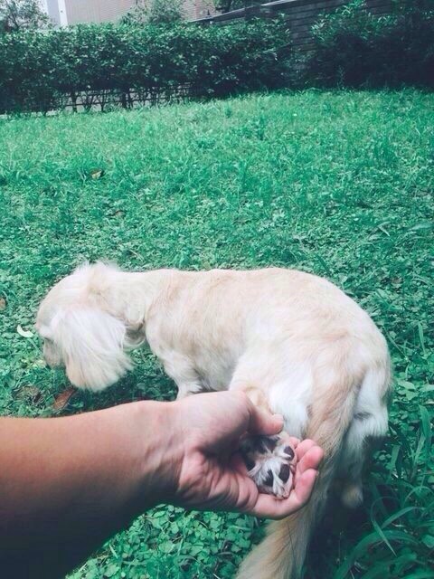 圖片來源：dcard