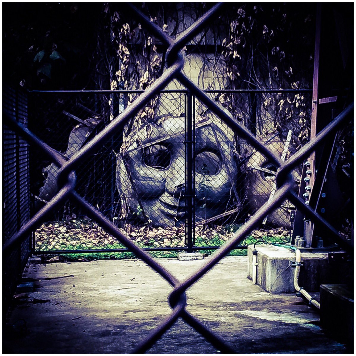 圖片來源: DT_tac_gr/twitter