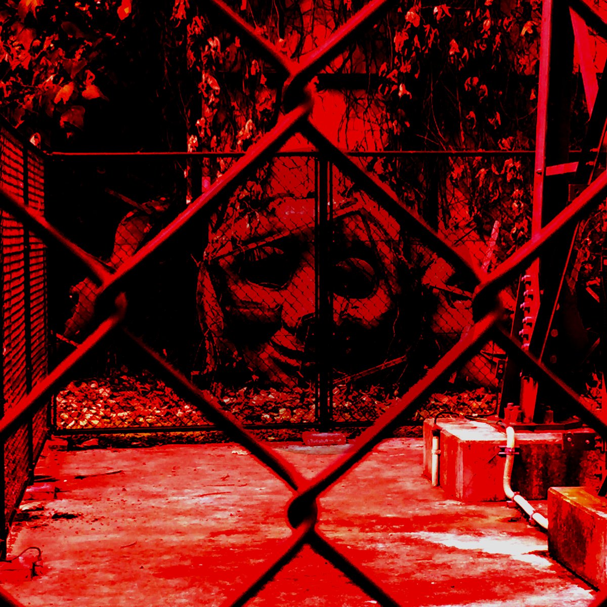 圖片來源: sgg25981393/twitter