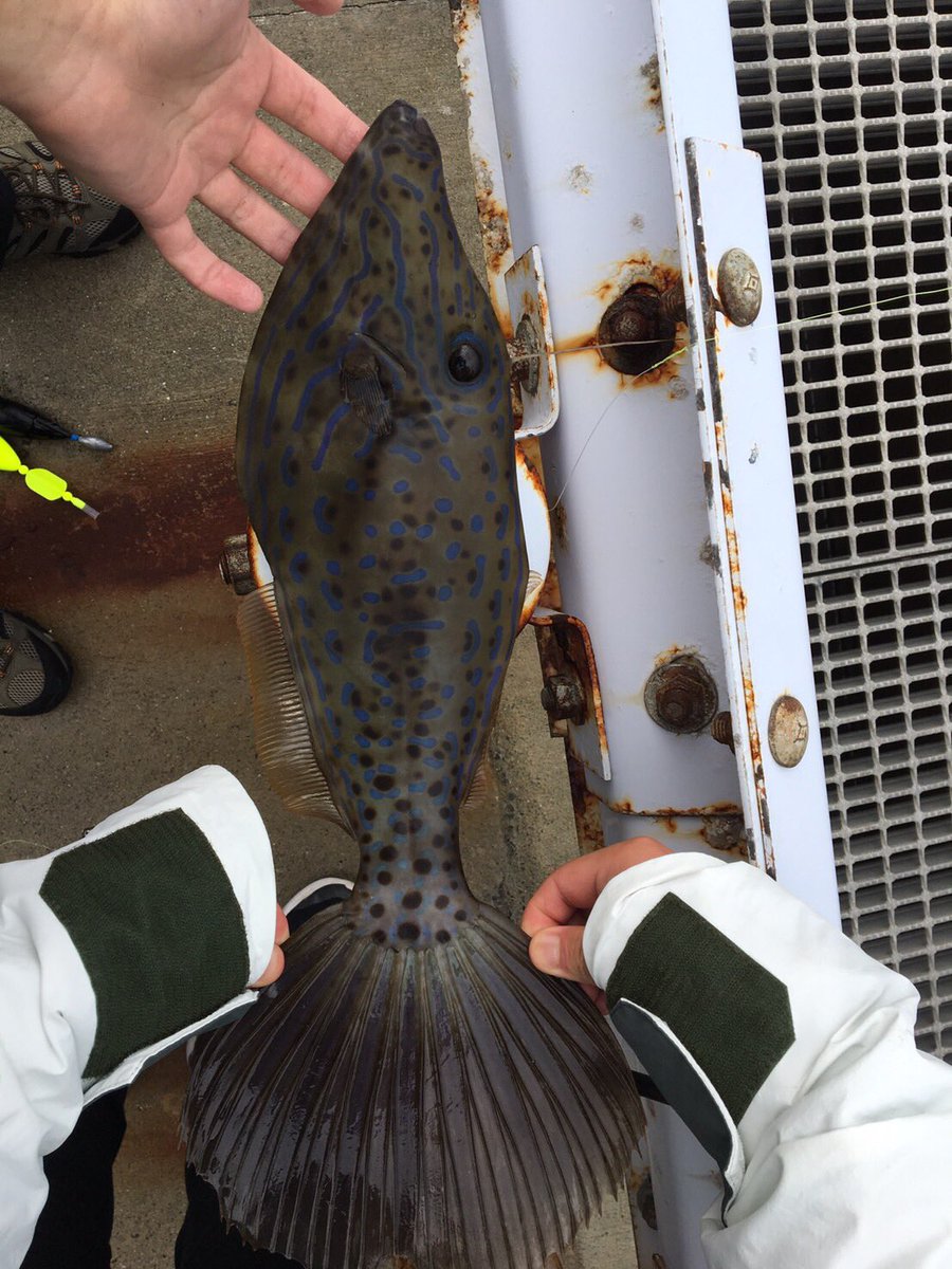 圖片來源:narathiga/twitter