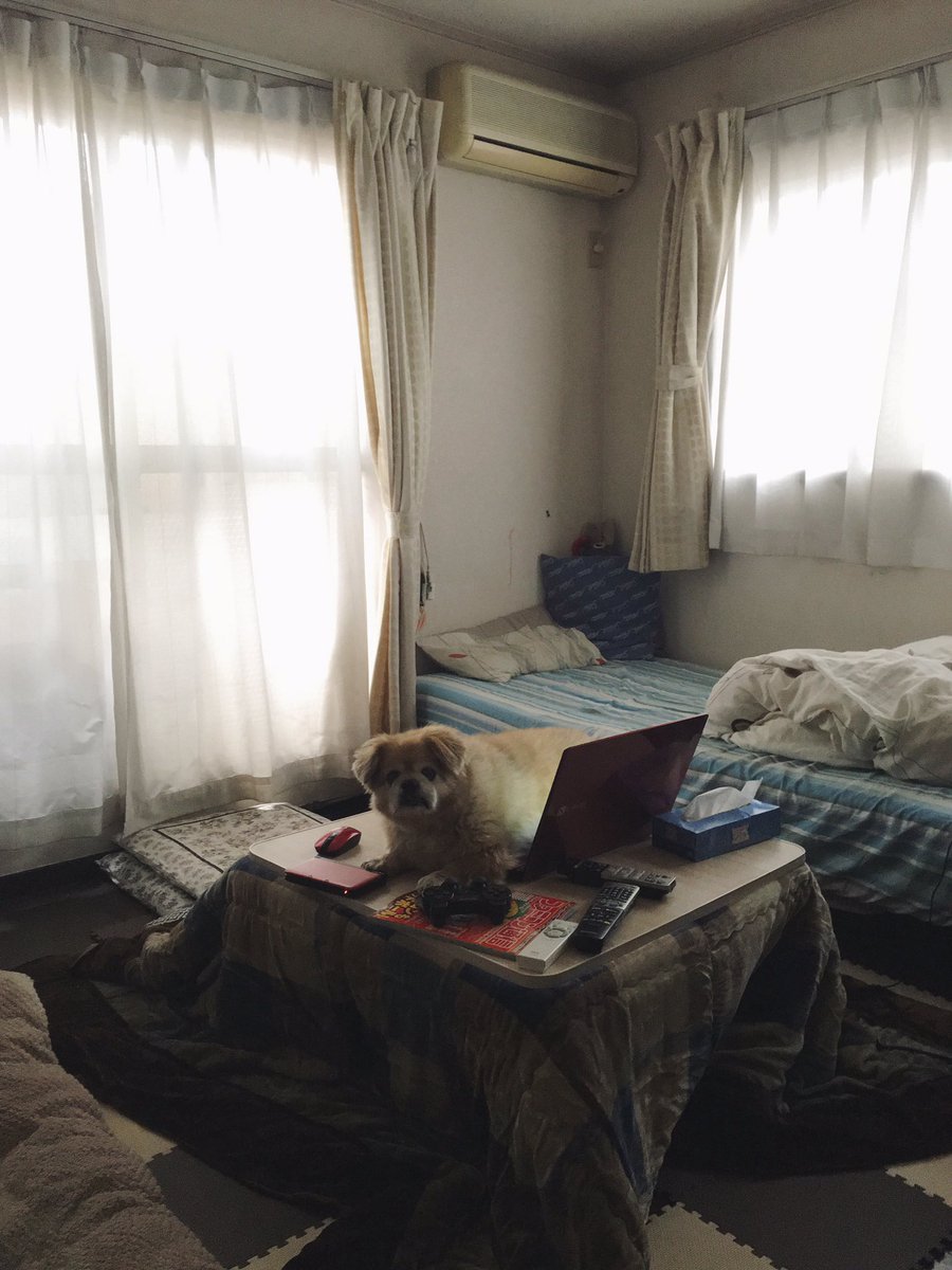 圖片來源:valonian/twitter