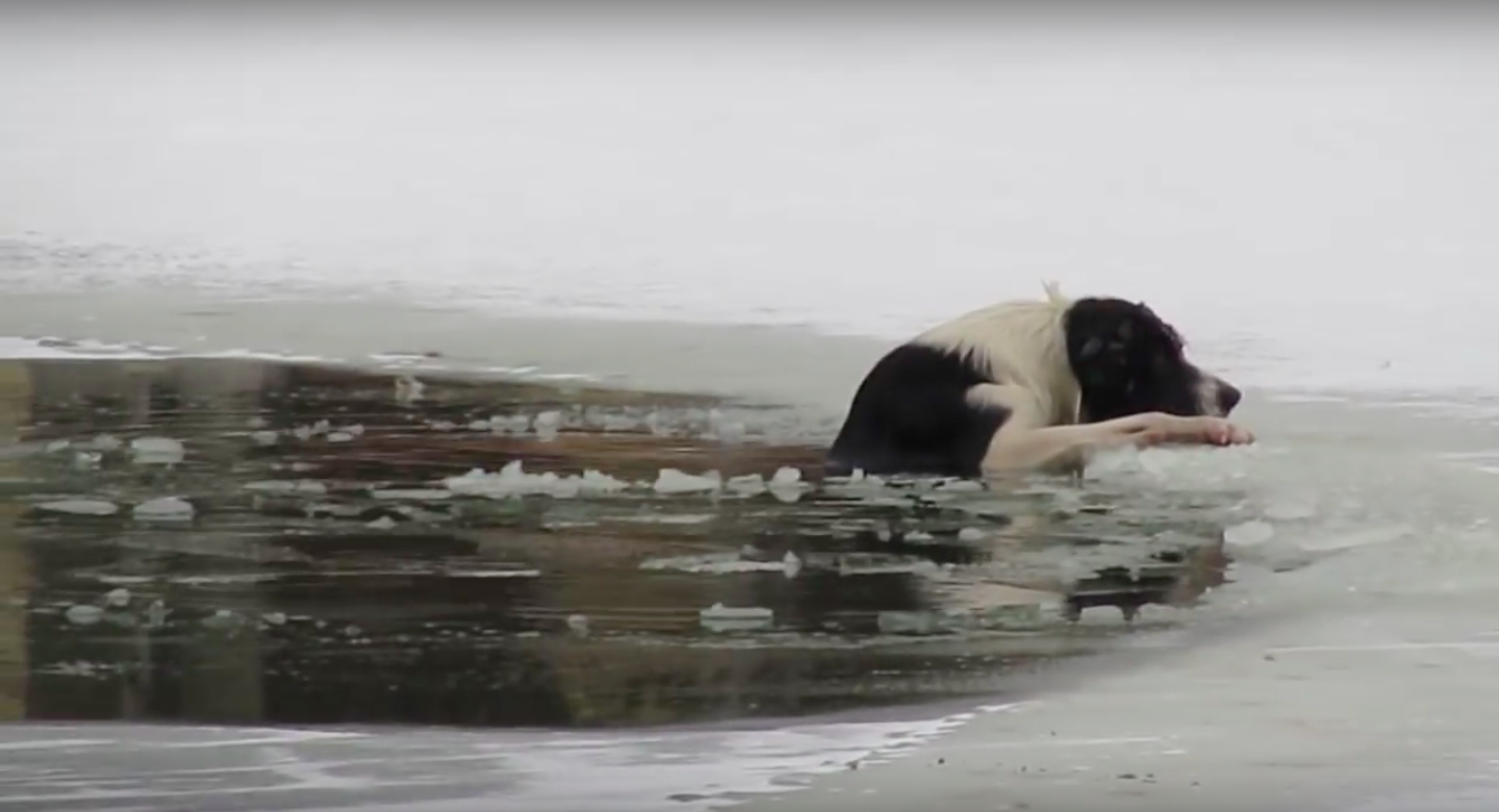 圖片來源: Alexander Levashov/Youtube