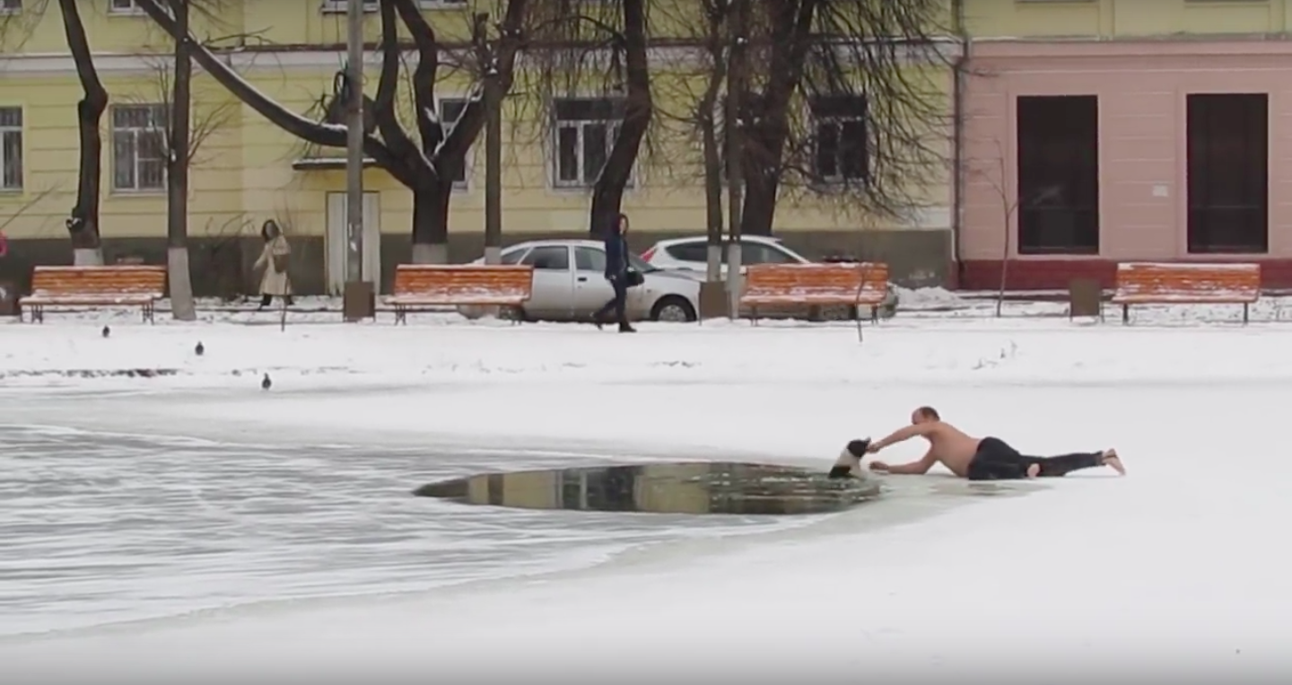 圖片來源: Alexander Levashov/Youtube