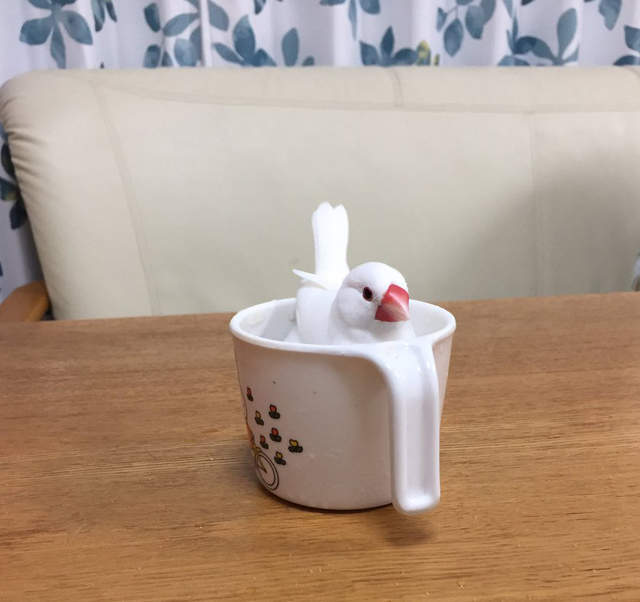 圖片來源：@hiroshikasaku /twitter