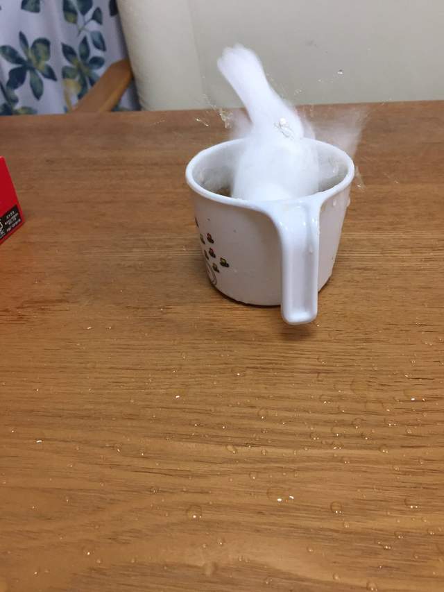 圖片來源：＠hiroshikasaku /twitter