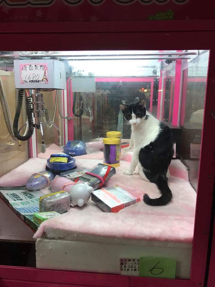 圖片來源：陳信宏/ 爆料公社