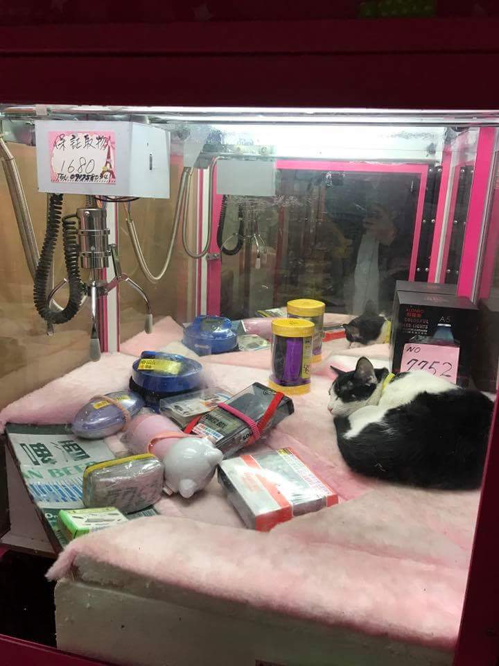 圖片來源：陳信宏/ 爆料公社