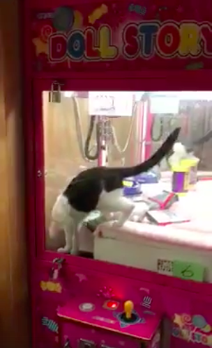 圖片來源：陳信宏/ 爆料公社