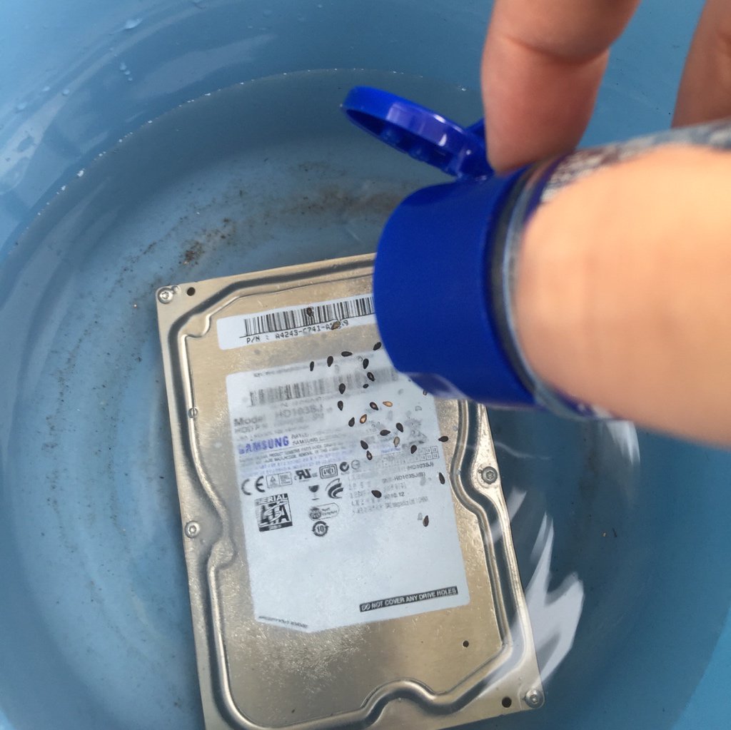 圖片來源：chaff1985／twitter