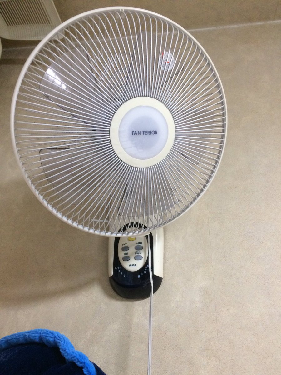 圖片來源：M__zales／twitter