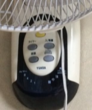 圖片來源：M__zales／twitter