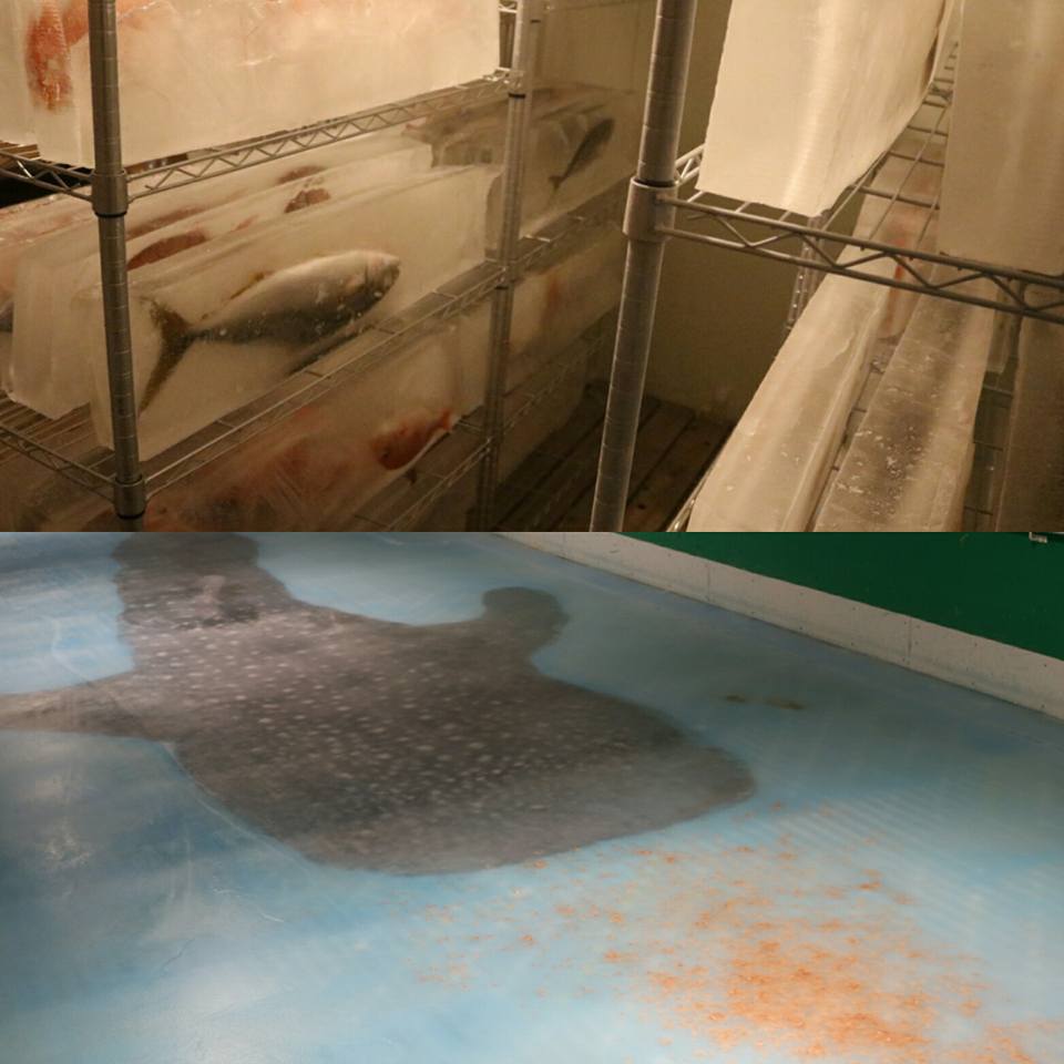 圖片來源：スペースワールド