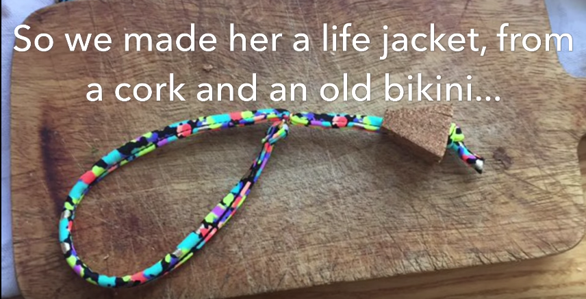 圖片來源:Aidan Cramer /Youtube