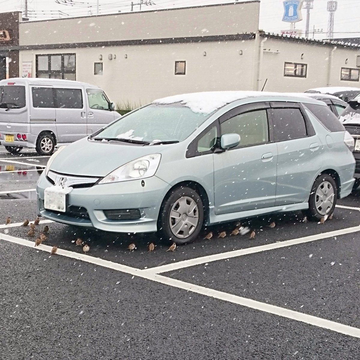 圖片來源： KARASUKA_NighT／twitter