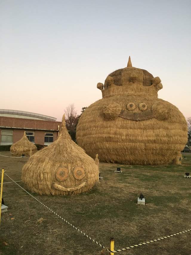 圖片來源：＠mana1119_ume /twitter