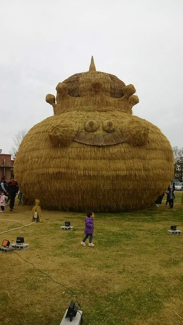 圖片來源：＠mana1119_ume /twitter