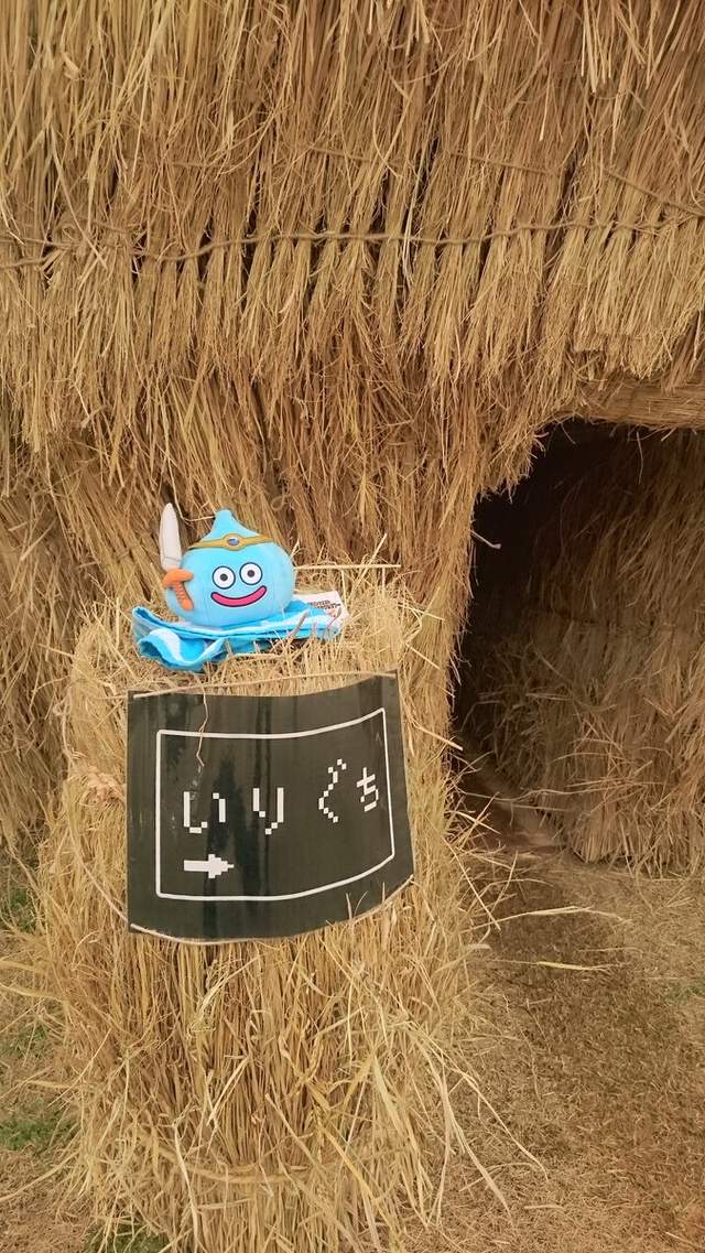 圖片來源：＠mana1119_ume /twitter