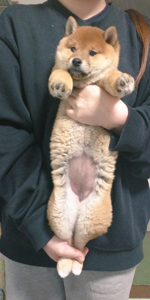 圖片來源:_kak_kaka/twitter