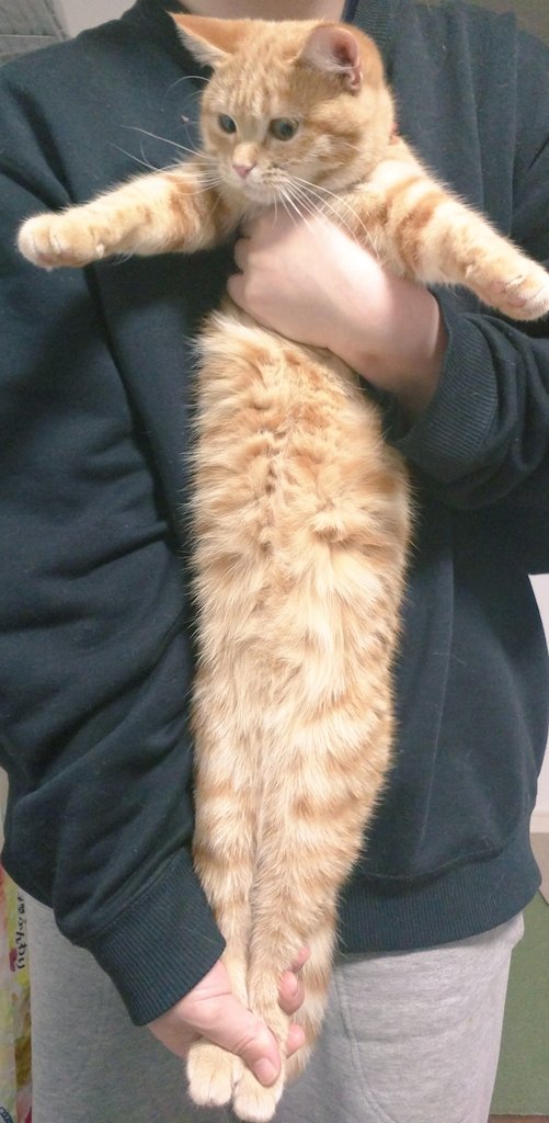 圖片來源:_kak_kaka/twitter