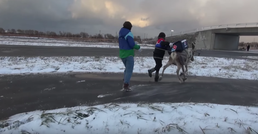 圖片來源:Domino Pizza日本官方頻道/Youtube