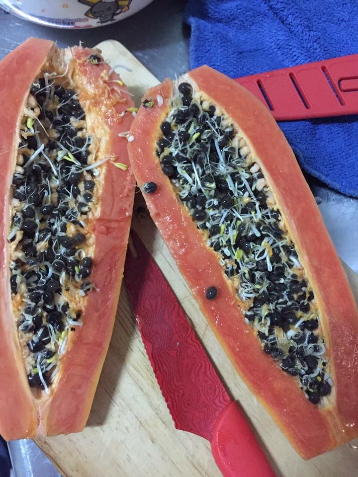 圖片來源：爆料公社