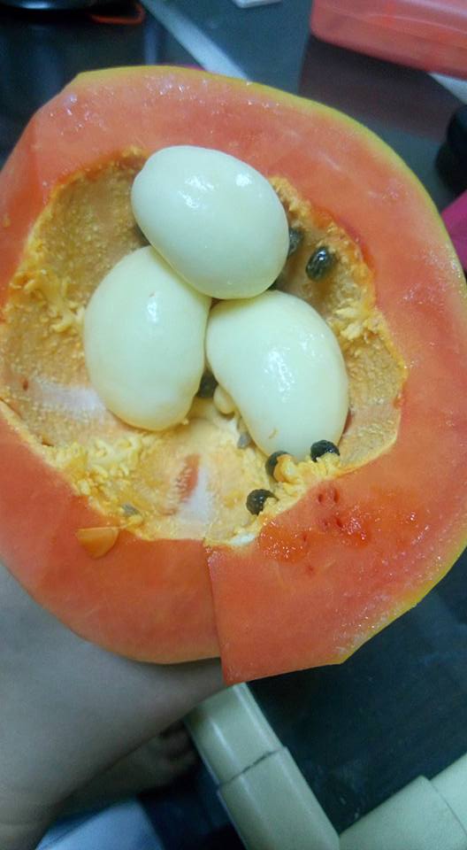 圖片來源:林丸子/●【爆料公社】●