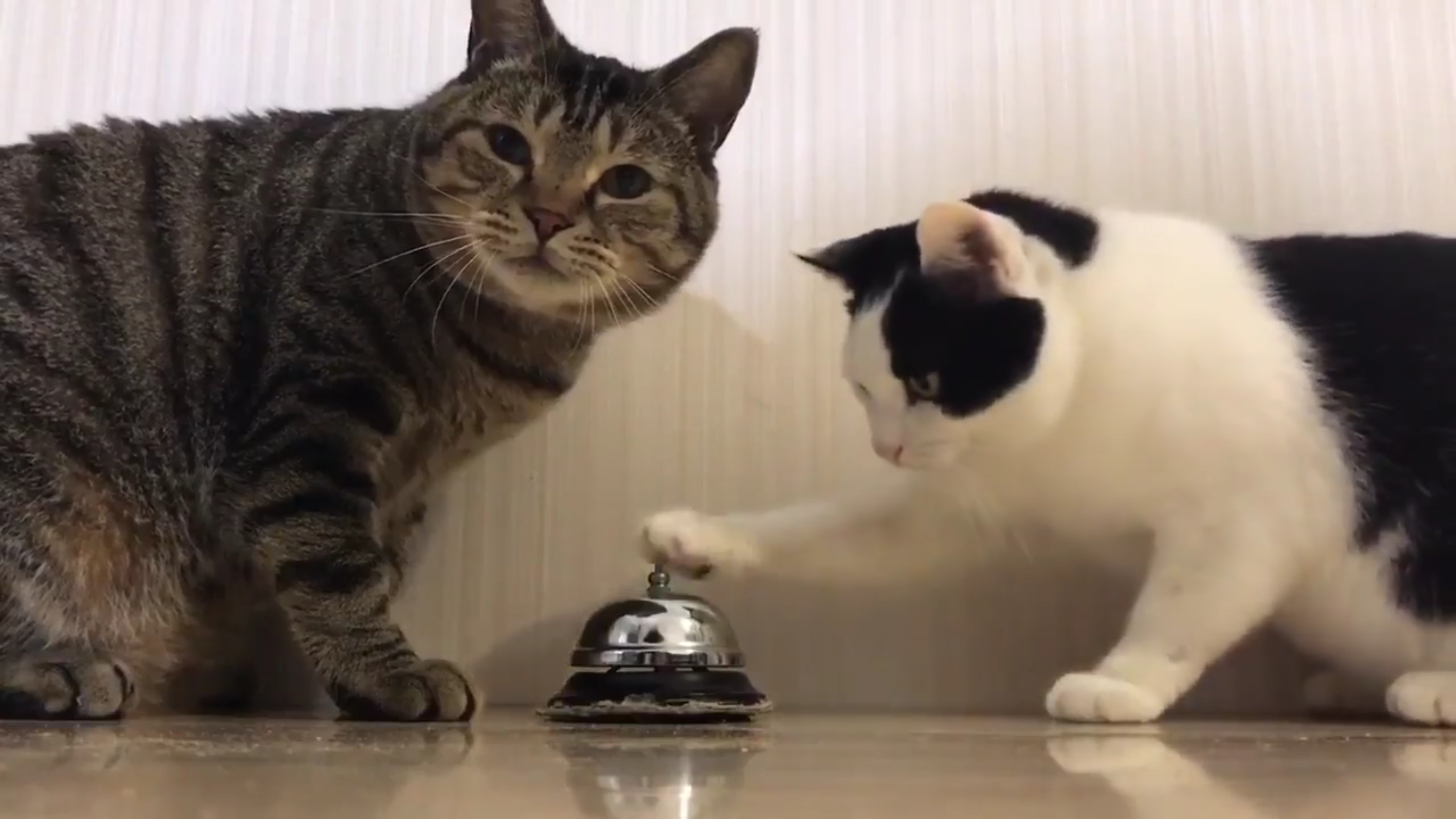 圖片來源:b_ru_ru/twitter