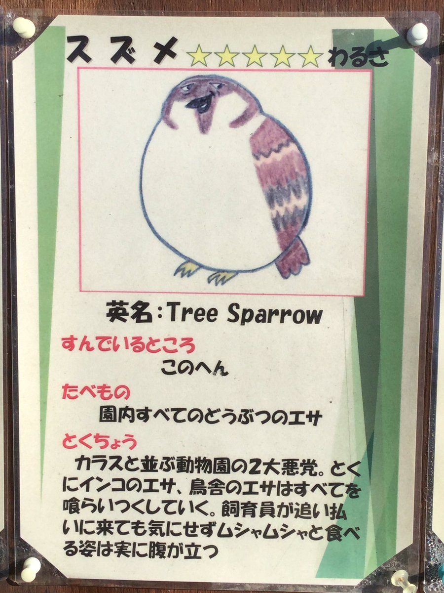 圖片來源：chez0625／twitter