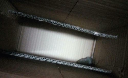 圖片來源: 新文化網