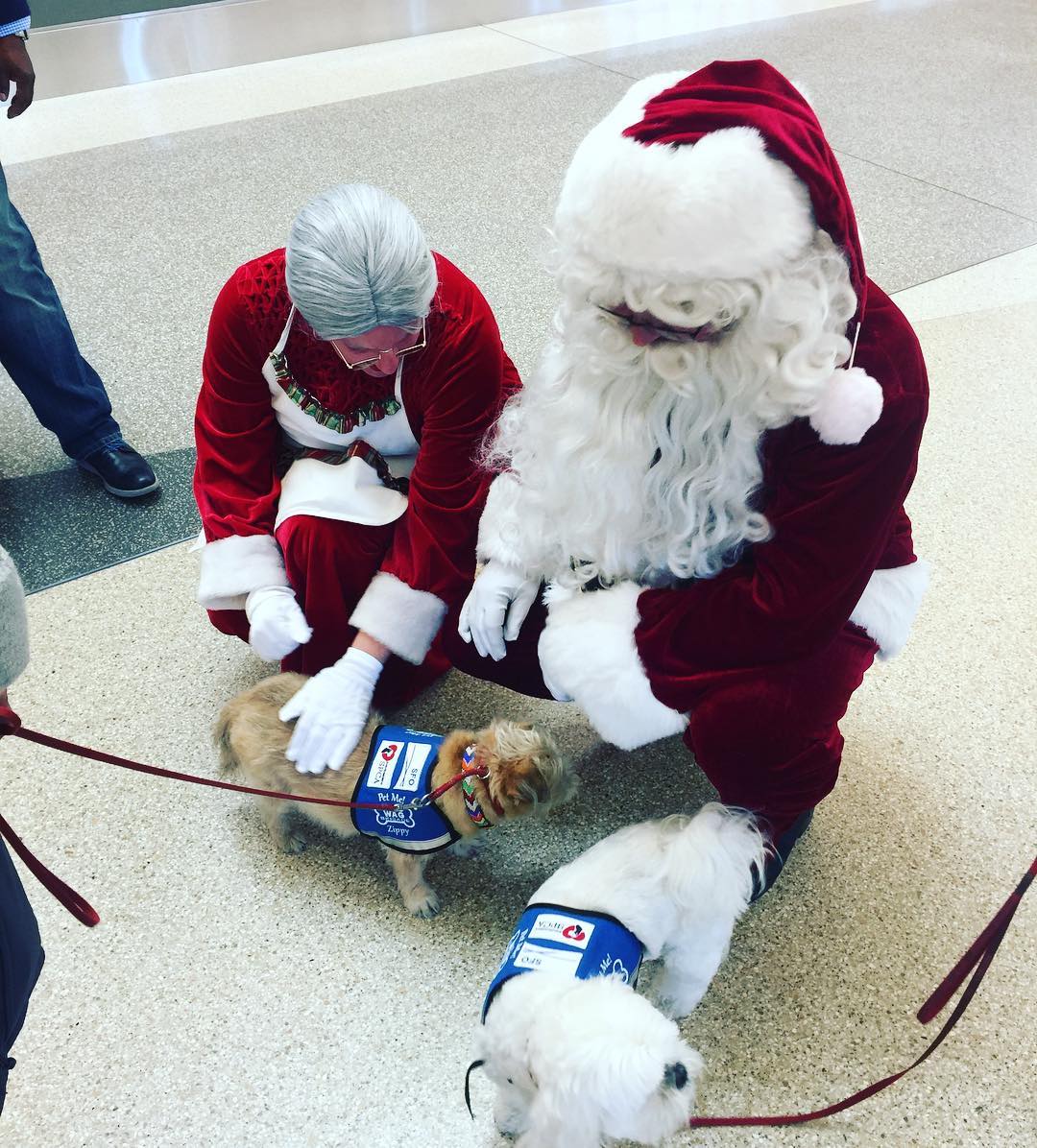 圖片來源：Telegraph