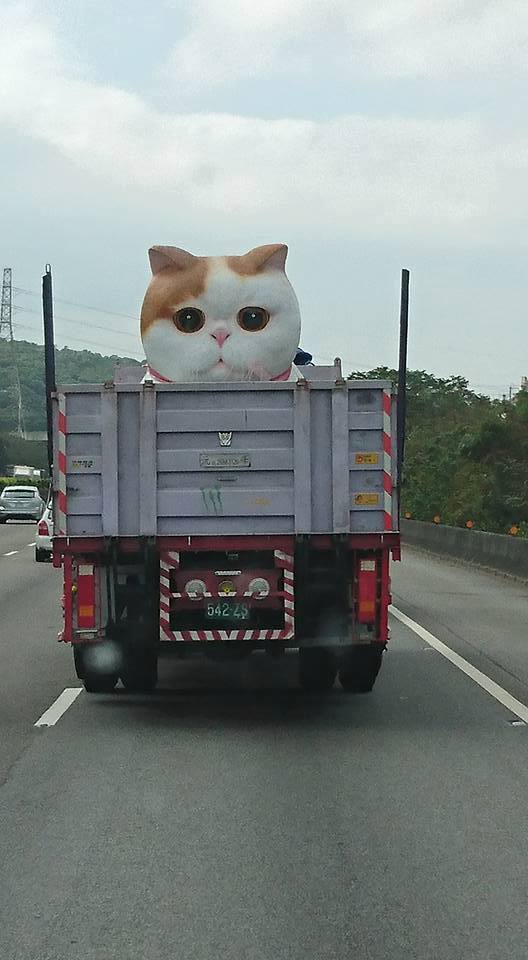 圖片來源:爆廢公社