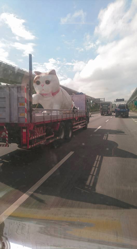 圖片來源:爆廢公社