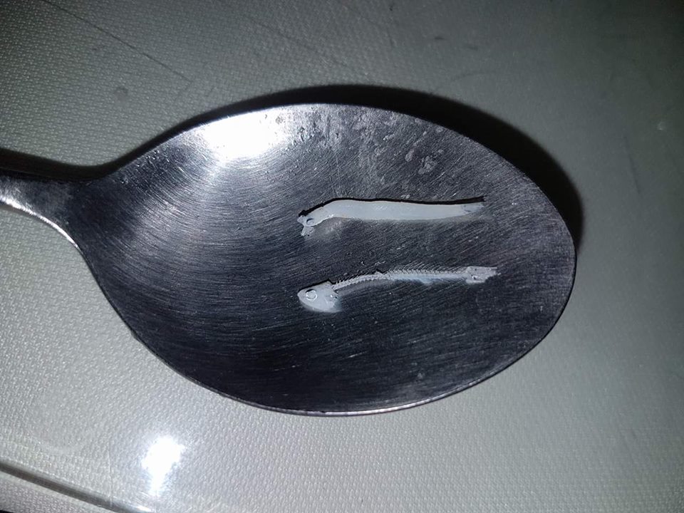 圖片來源：黃咪匠