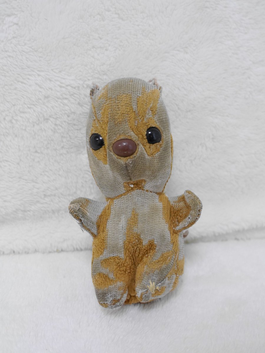 圖片來源：cocoro_bz／twitter