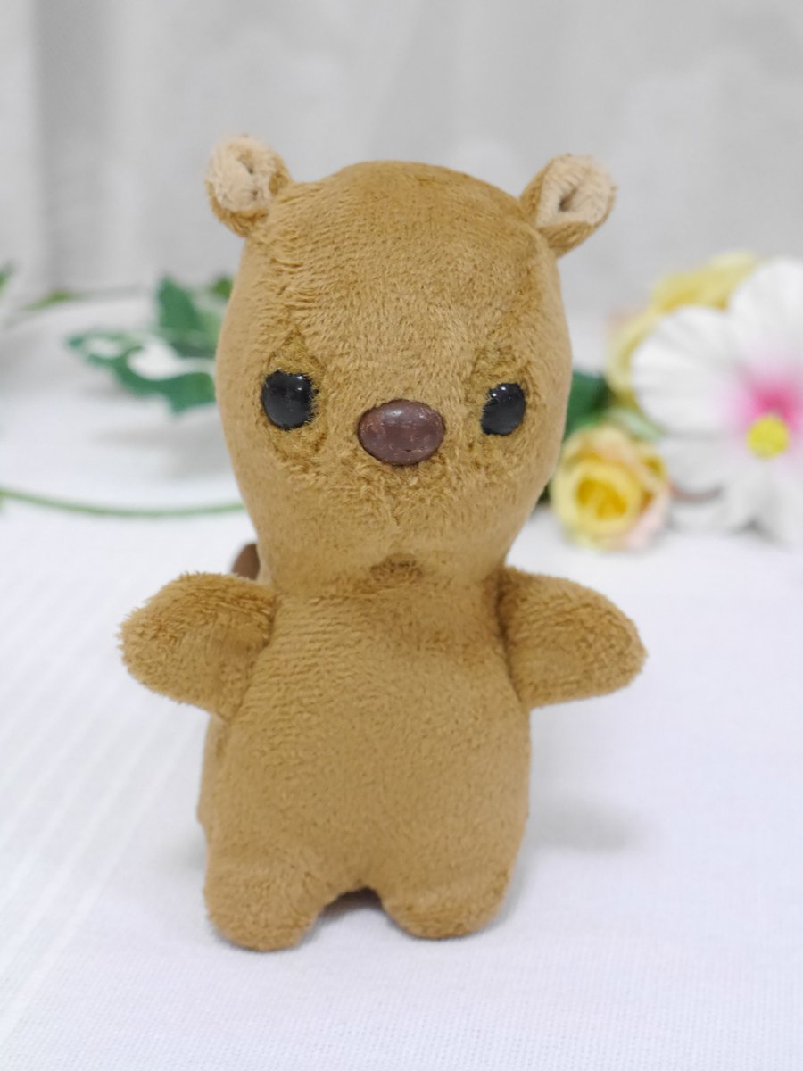 圖片來源：cocoro_bz／twitter