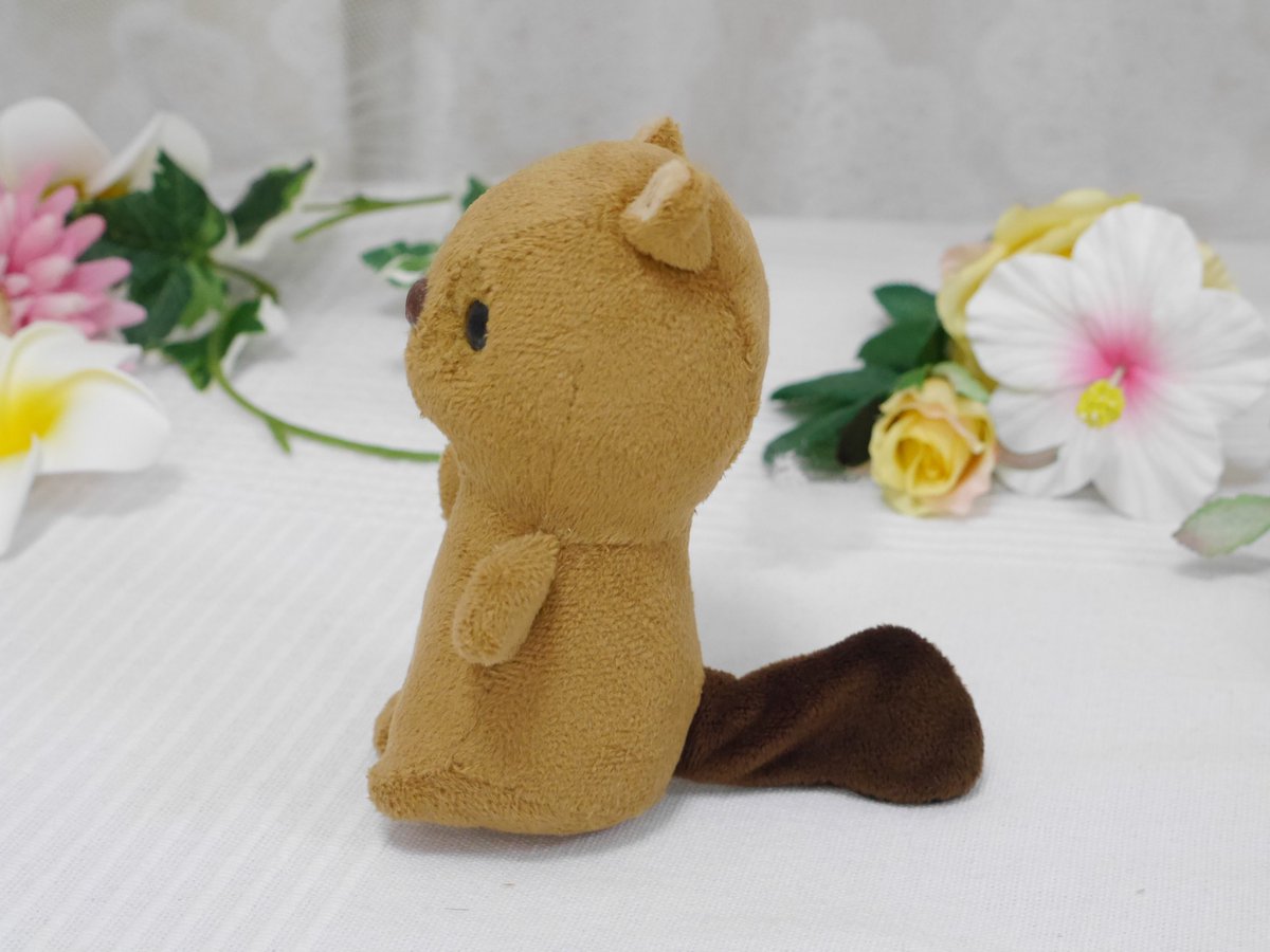 圖片來源：cocoro_bz／twitter