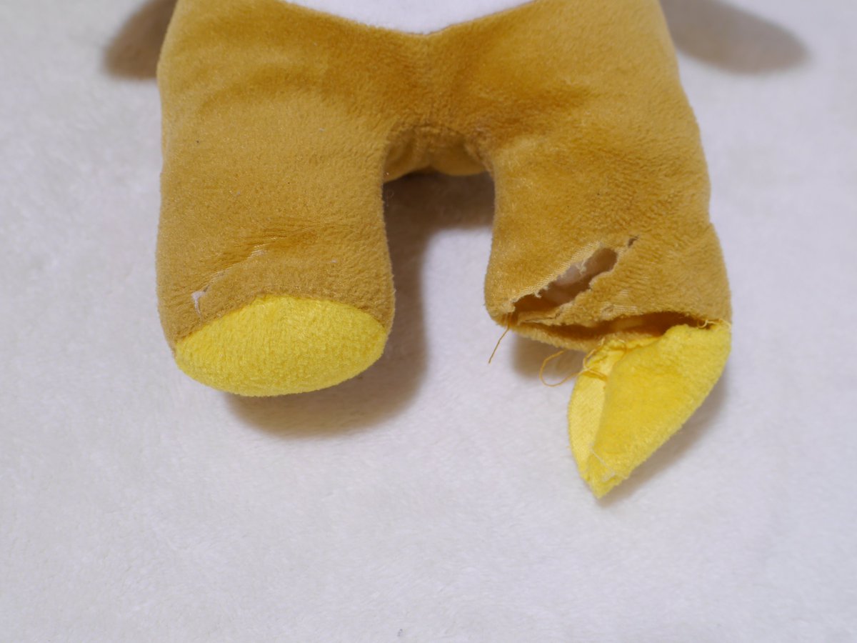 圖片來源：cocoro_bz／twitter