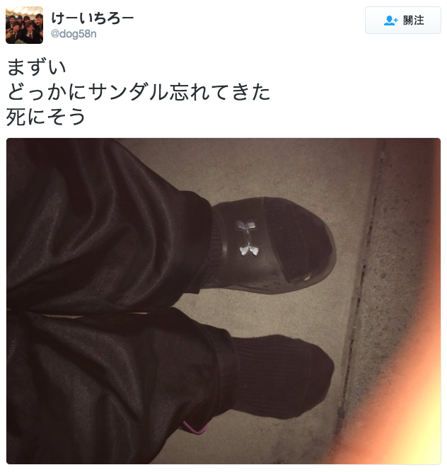 圖片來源:dog58n/twitter