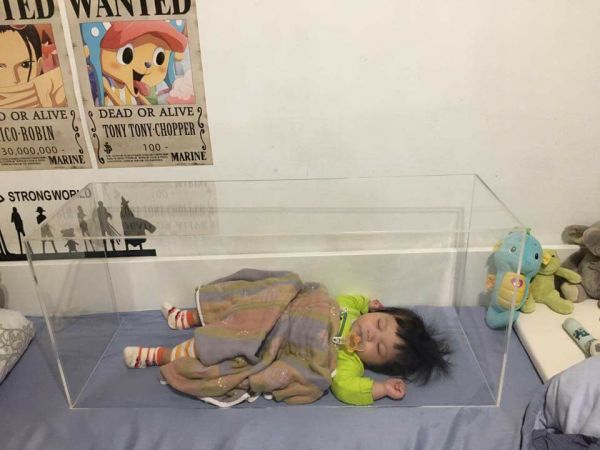 圖片來源:謝茜兒