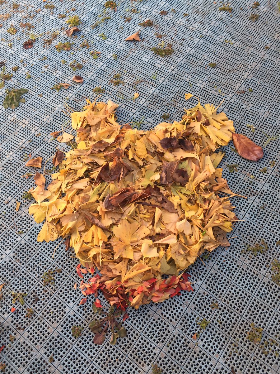 圖片來源:chikun0117/twitter