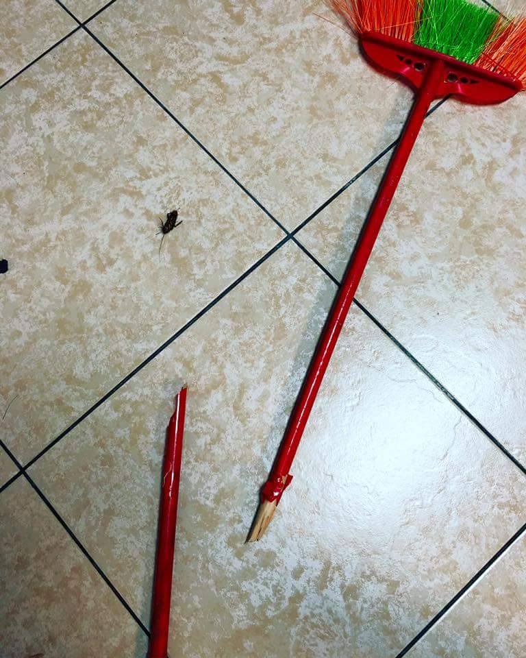 圖片來源：邱偉偉／爆廢公社