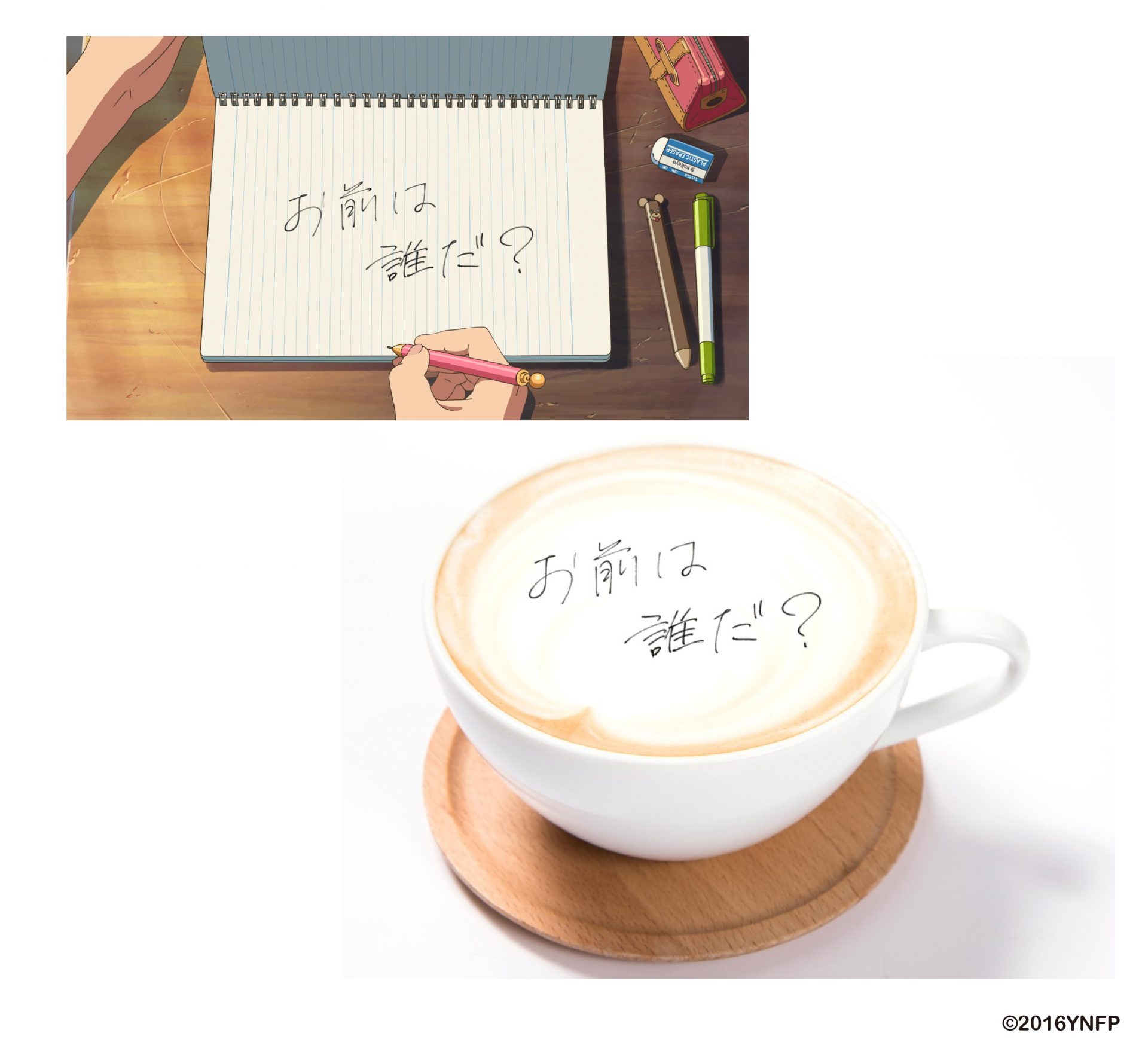 圖片來源： the guest