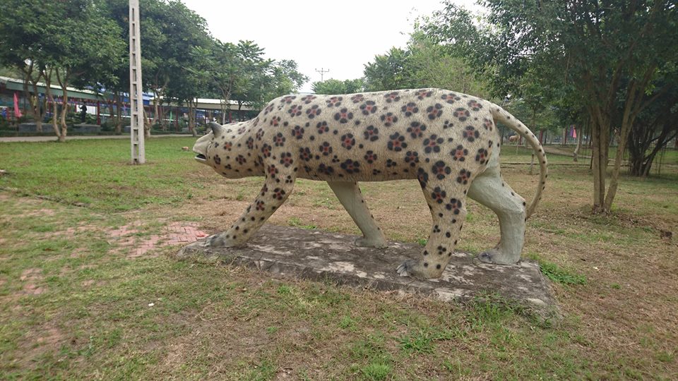 圖片來源:Nguyễn Xuân Quyền/Facebook