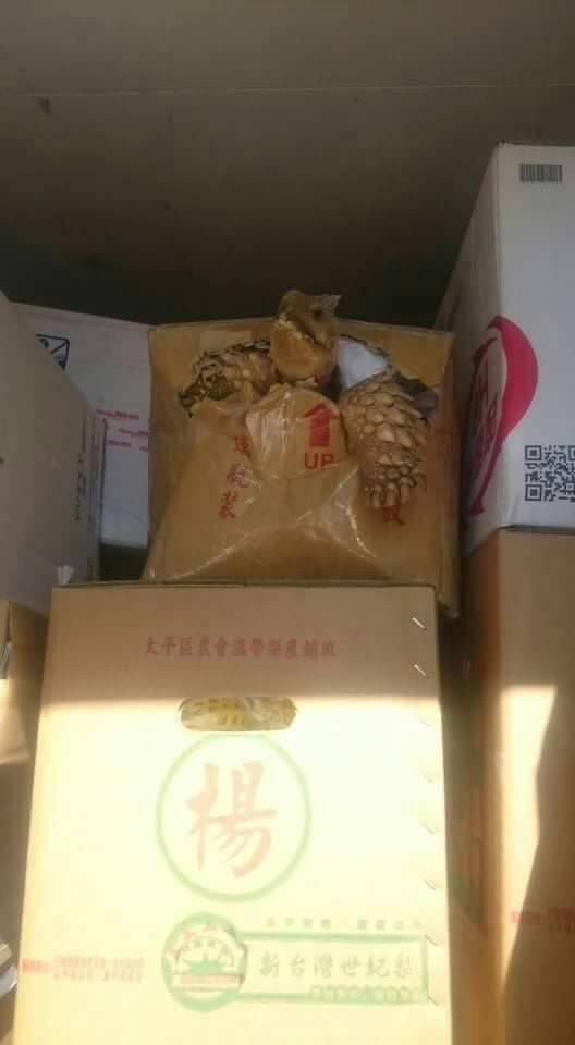 圖片來源:爆料公社