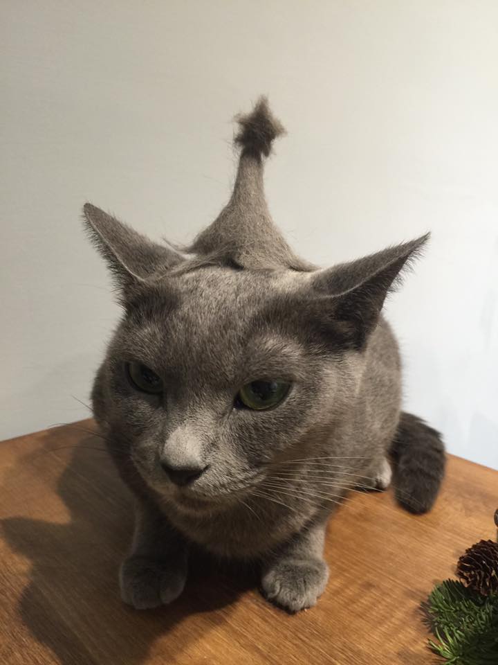 感謝網民Émilie Depp同意轉載