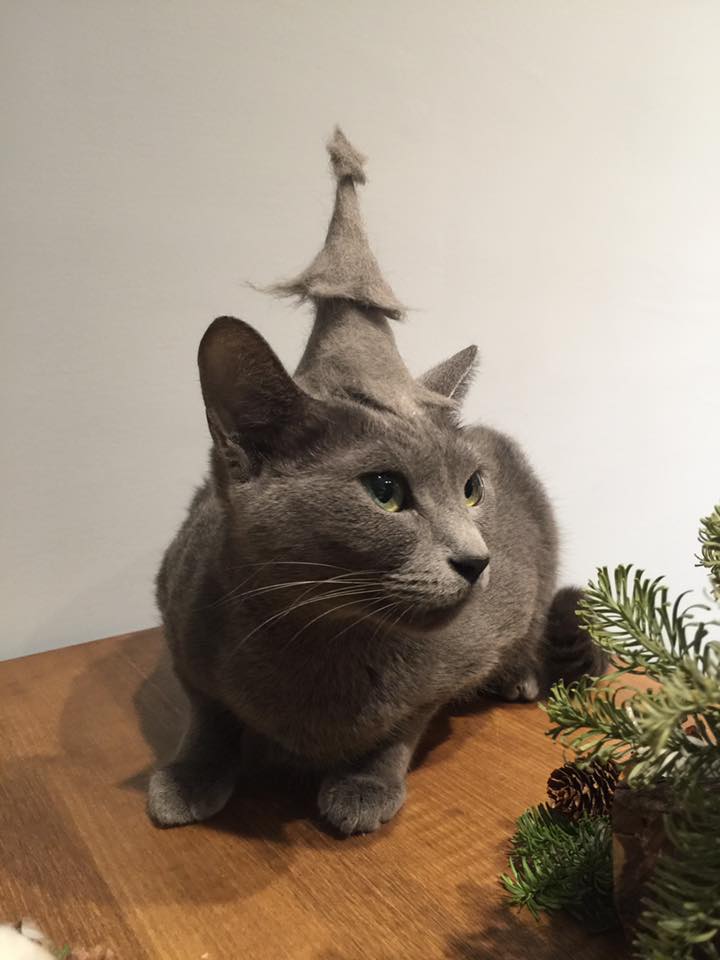 感謝網民Émilie Depp同意轉載