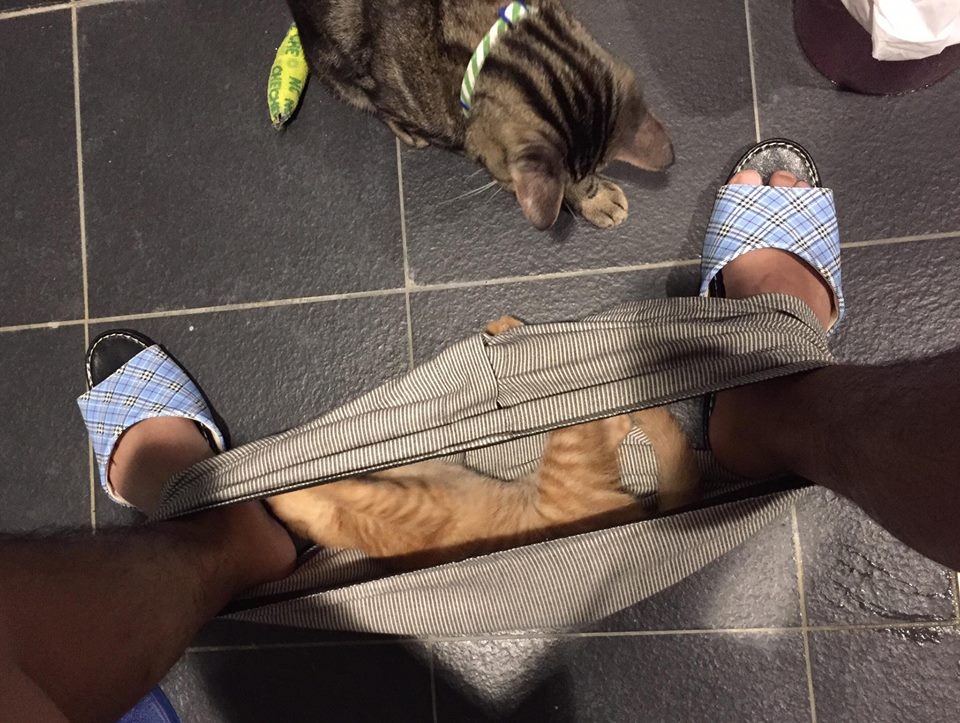 感謝網民Charles Lin同意轉載