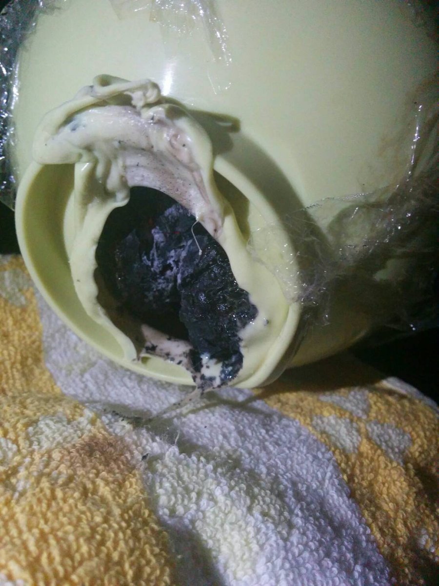 圖片來源:aoneko0426/twitter