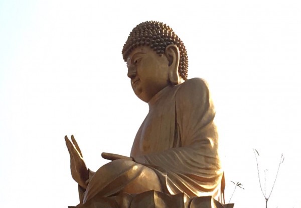 圖片來源:自由時報