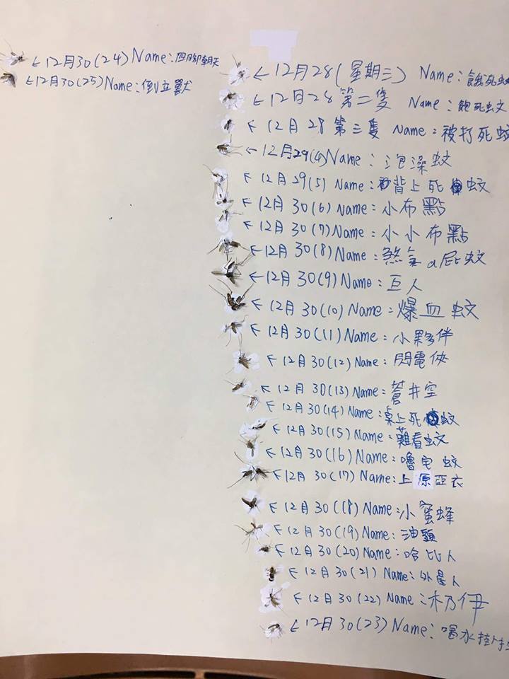 圖片來源：詹榮濬／爆廢公社